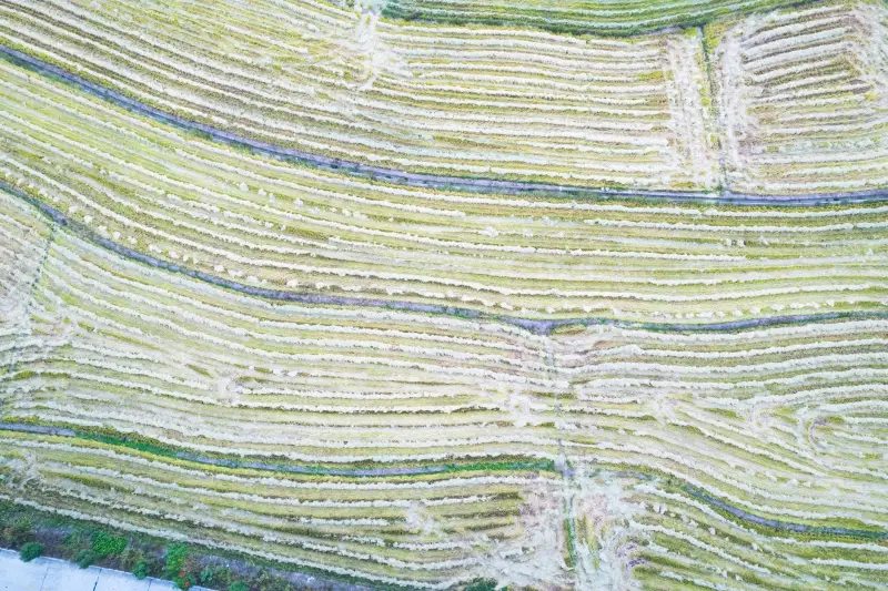 海口茗晨依科技数码配件选购指南:平衡办公效率与性价比