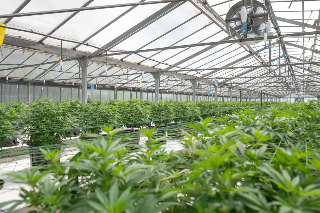 海口茗晨依科技有限公司数码配件与电脑配件产品型号参数对比分析